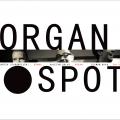 Okładka Płyty Organ Spot Trio - Organ Spot